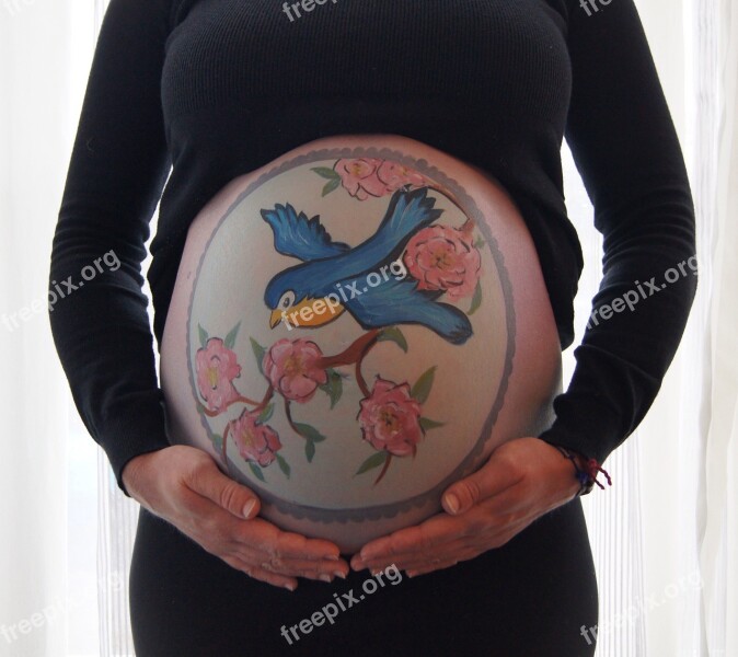 Bellypaint Belly Painting Pregnant Baby Animals