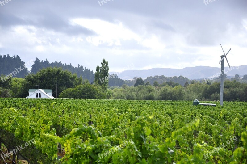 Wairarapa New Zealand Nz Windmill Vineyard