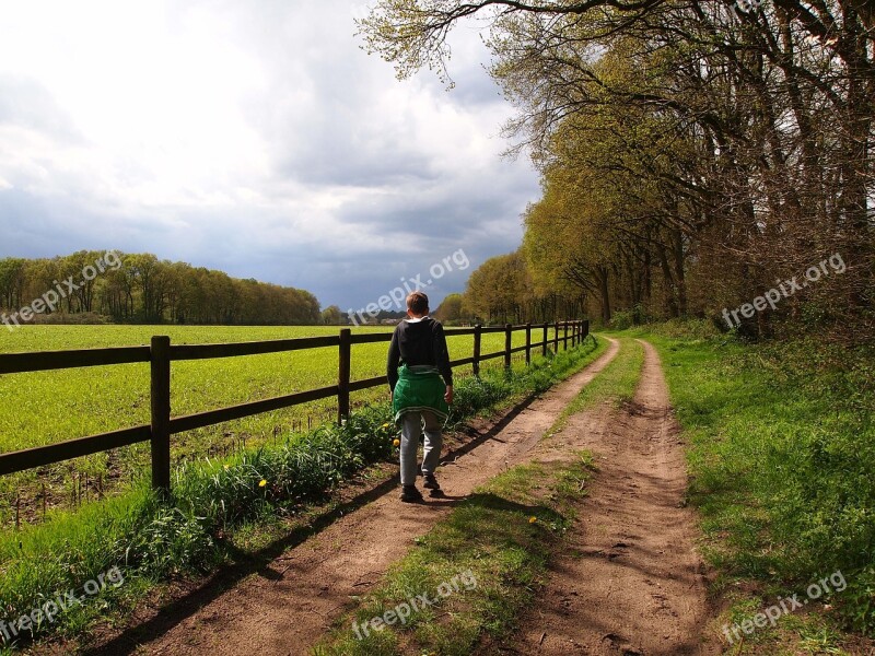 Hiking Boy Sandy Path Landscape Forest