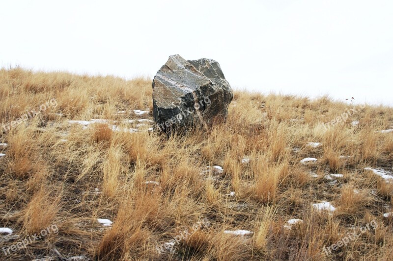 Boulder Field Grass Rock Stone