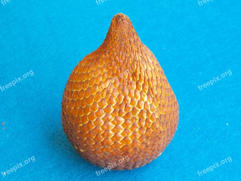 Snakefruit Salacca Edulis Snake Skin Fruit Indonesia Salak Palm