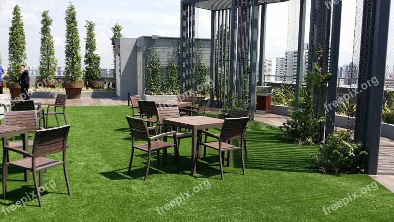 Garden Rooftop Outdoors Scene Landscape