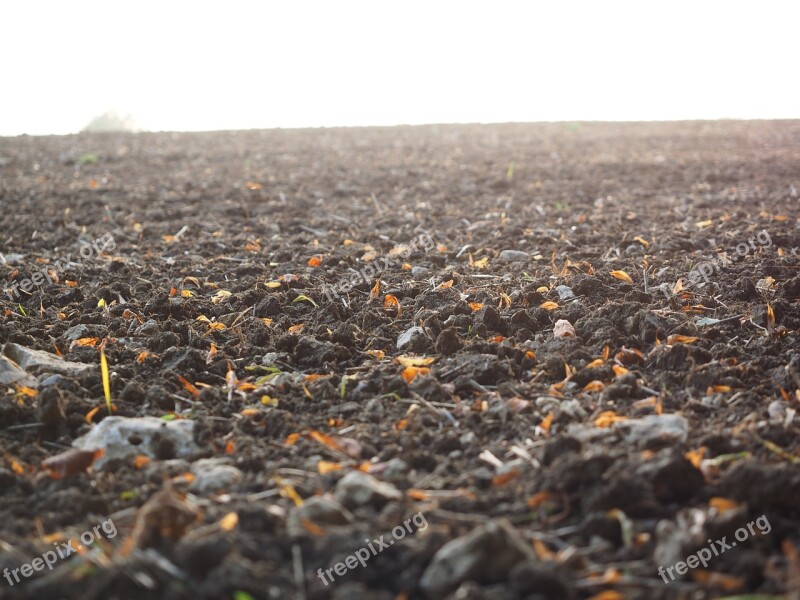 Arable Field Arable Land Agriculture Landscape