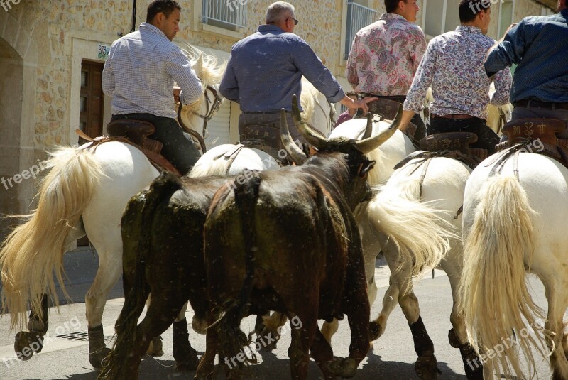 Camargue Bulls Gardians Village Festival Feria