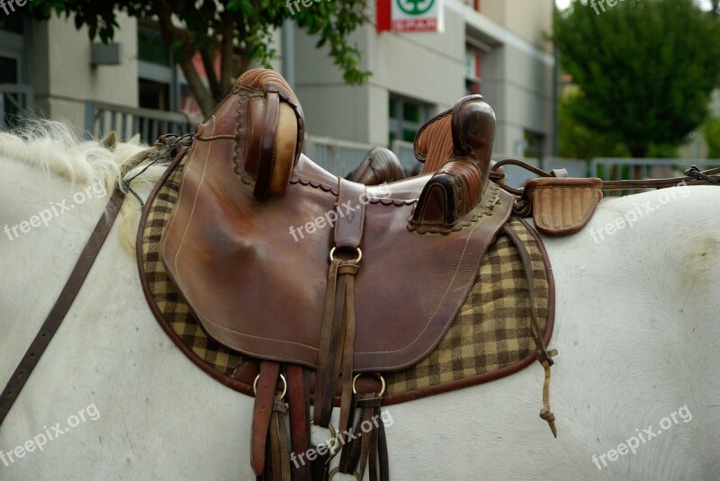 Camargue Horse Saddle Leather Free Photos