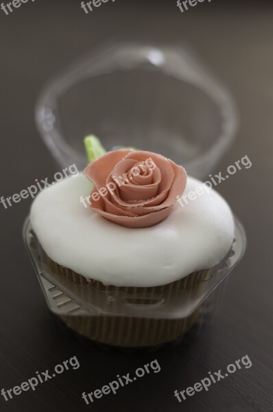 Cupcake Food Rosa Mass Detail