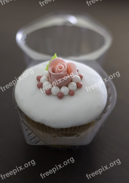 Cupcake Food Rosa Mass Detail