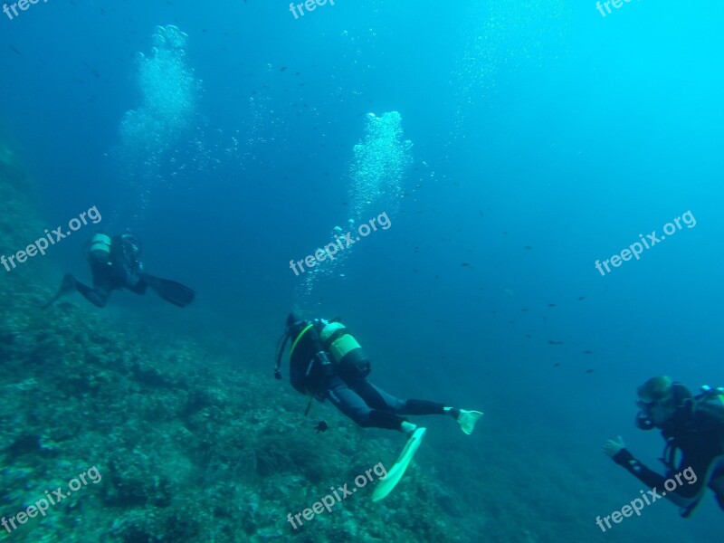 Diver Diving Sea Scuba Diving Meeting