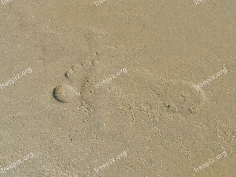 Cuxhaven North Sea Sea Wadden Sea Landscape