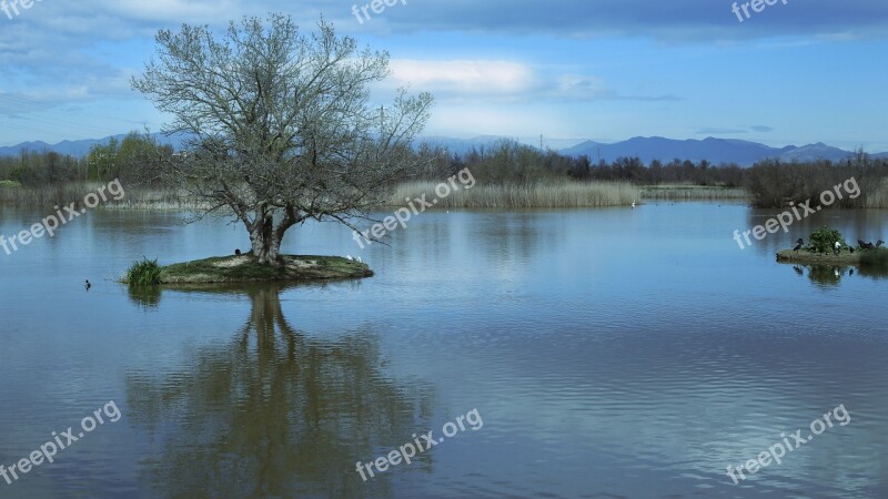 Bio Diversity Birds Ducks Free Photos