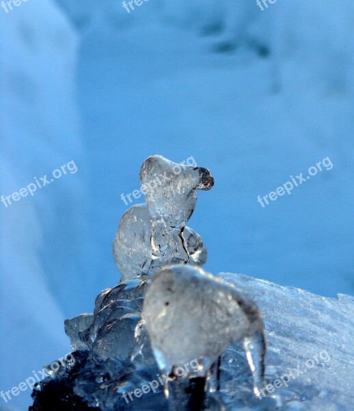 Ice Ice Sculpture Animals Fantasy Art