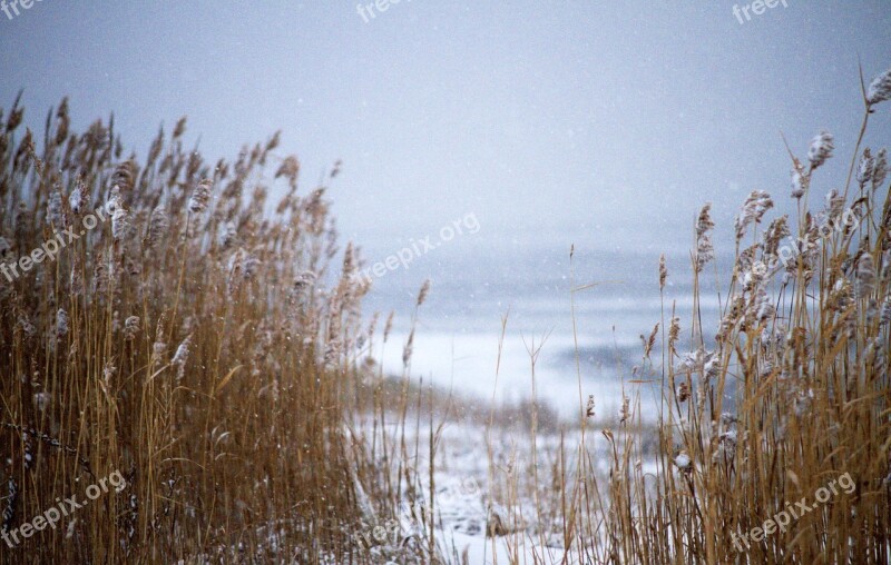 Snow Beach Water Nature Sea