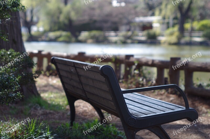 Chair Pond Unattended Free Photos