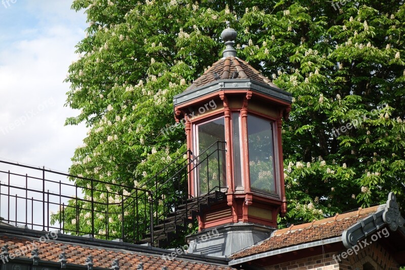 Observation Tower Roof Jardin Des Plantes Free Photos