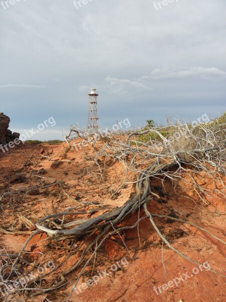 Brushwood Desert Tower Air Drought