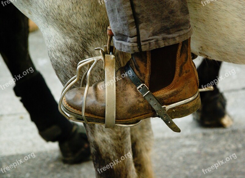 France Camargue Caliper Jumper Horse