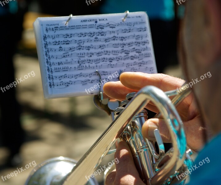 Musician Trumpet Fingers Music Free Photos