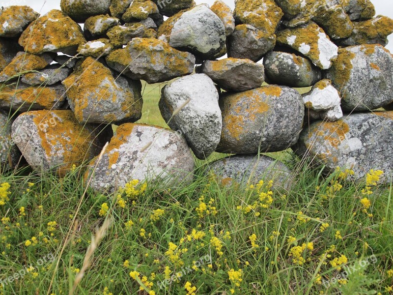 Stone Wall Gotland Summer Sweden Bed