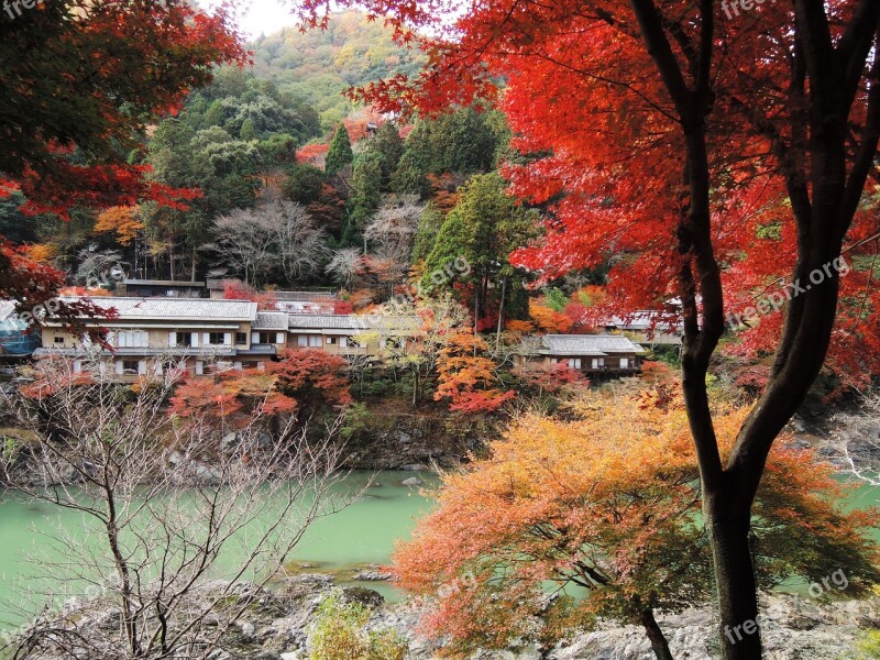 Lanshan Sagano Maple Leaf River Autumn