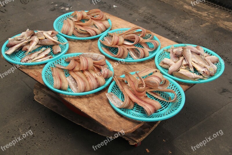 Fish Fish Market Sea Animals Free Photos