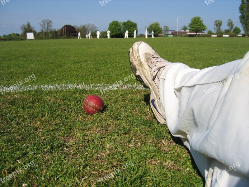 Cricket Ball Boundary Match Sport