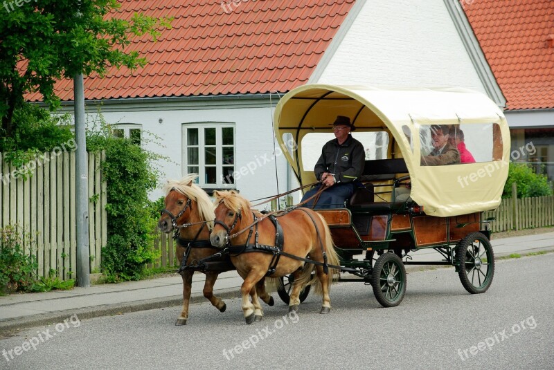 Denmark Cart Ponies Sleigh Free Photos