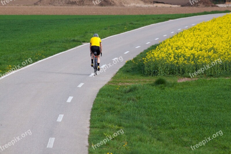 Cyclists Road Mark Oilseed Rape Agricultural Operation