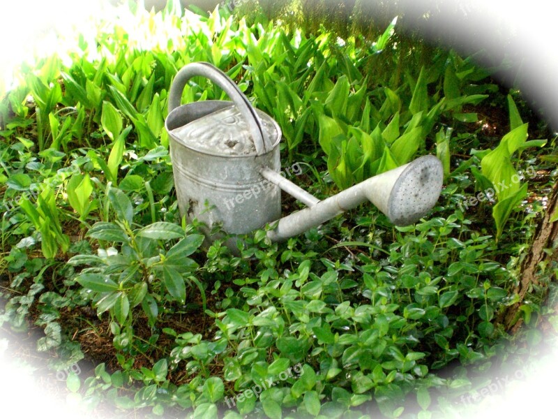 Watering Can Casting Irrigation Pot Decoration