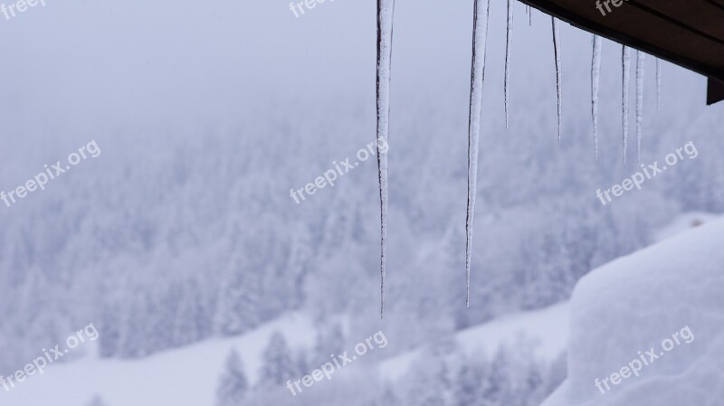 Snow Icicle Cold Snowy Free Photos