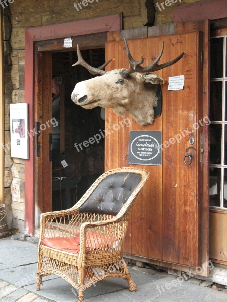 Norway Bergen Elk Armchair Free Photos