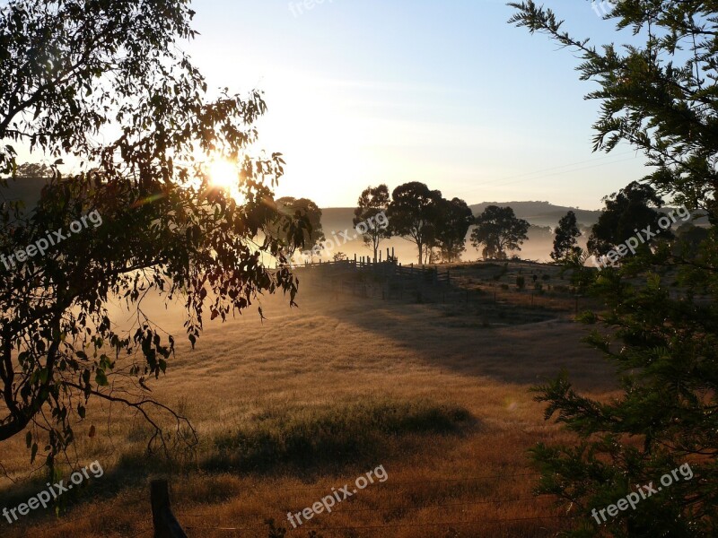 Morning Sunrise Sun Country Bush