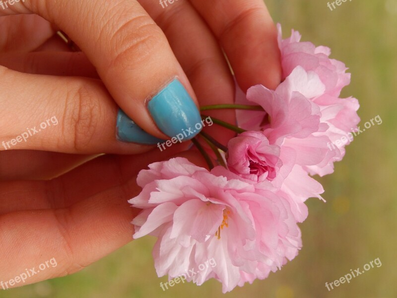 Hand Nails Flowers Blue Pink