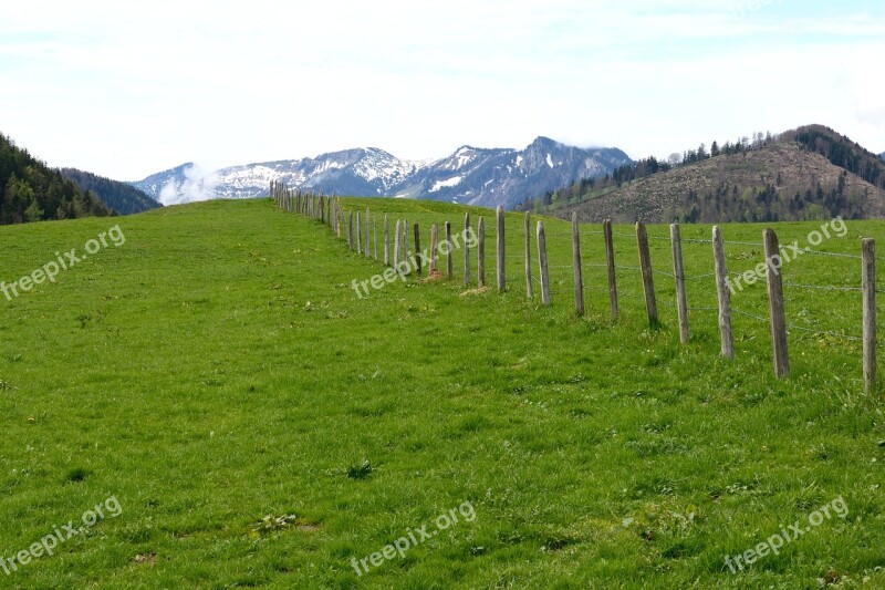 Demarcation Barbed Wire Fence Meadow Nature