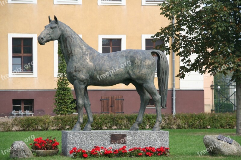 Monument Still Image Breeding Stallion Hummingbird Memory