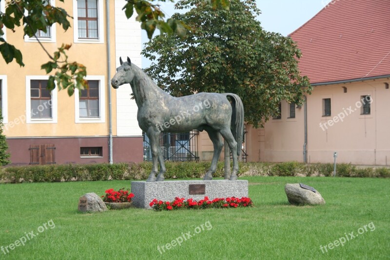 Monument Still Image Breeding Stallion Hummingbird Memory