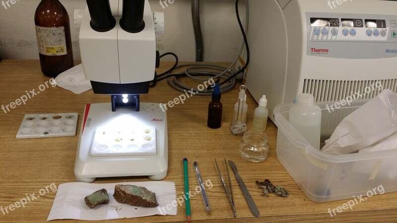 Stereoscope Lab Science Team Test