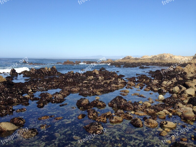 Tide Pool Pacific Grove Monterey Penninsula California Ocean