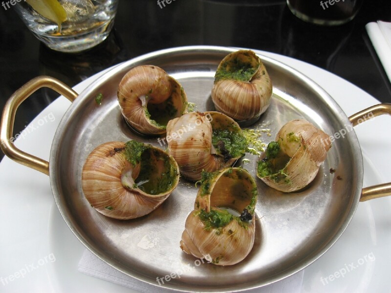 Gourmet Escargots Snails Garlic Dish