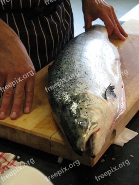 Salmon Norway Sea ​​fish Cook Free Photos