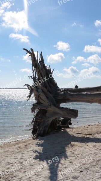 Beach Desert Island Island Sand Tropical