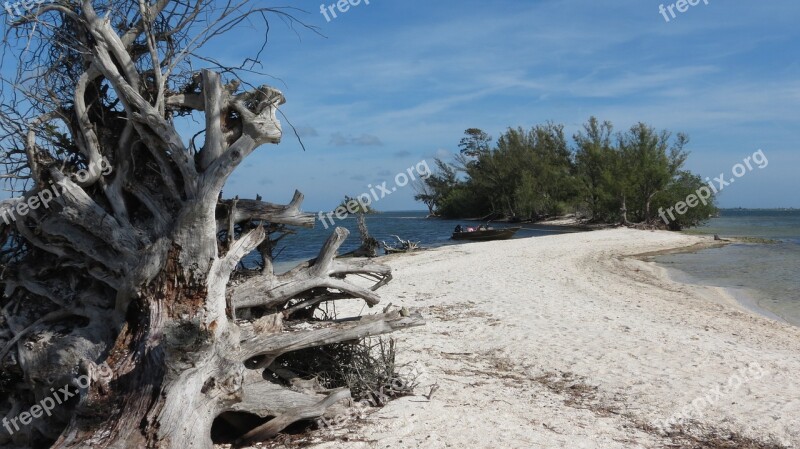 Beach Desert Island Island Sand Tropical