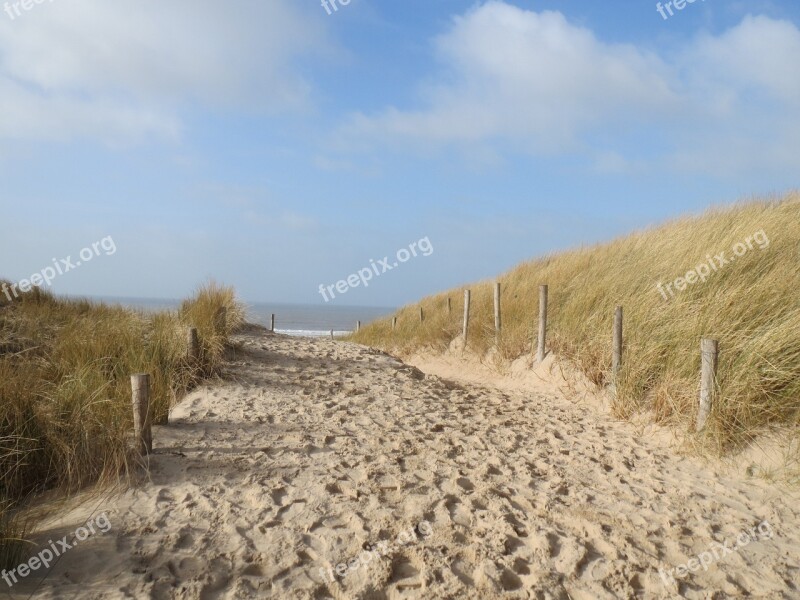 Sea Beach Dune Marram Grass Dunes