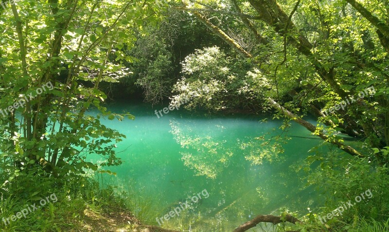 Gulf Water Nature Lake Wood