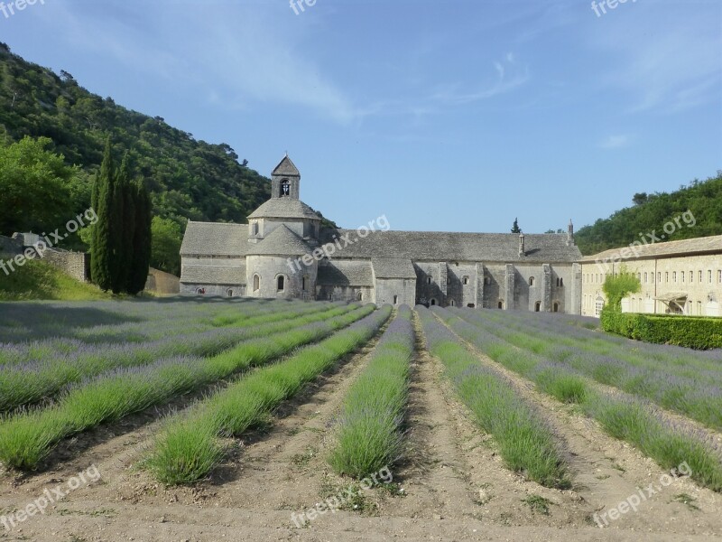 Abbey Lavender South Free Photos