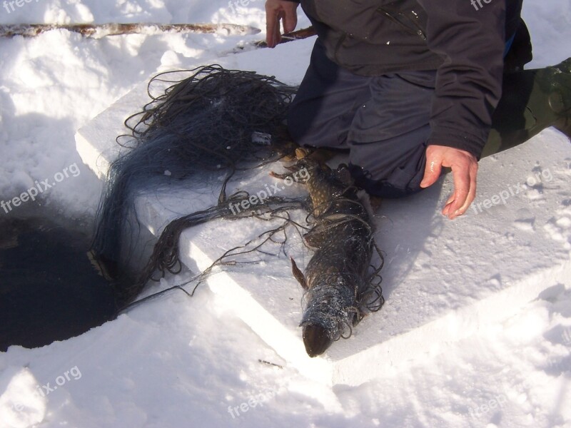 Winter Fishing Network Net Fishing Pike