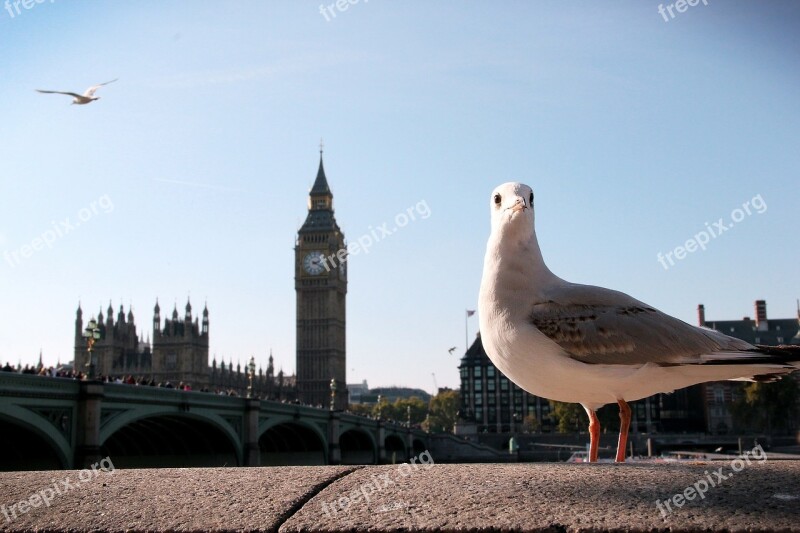 Big Ben London Clock Tourism Travel