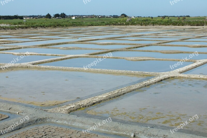 Salt Marshes Noirmoutier Salt Free Photos