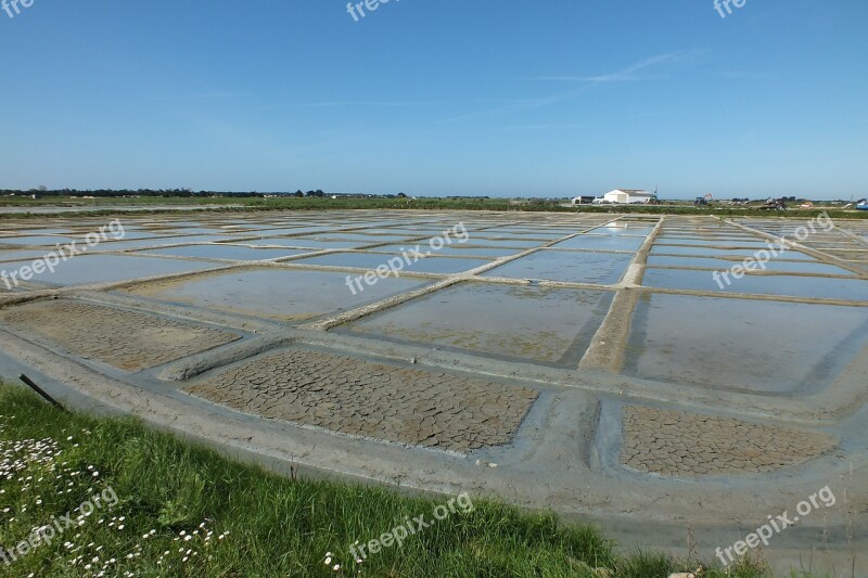 Salt Marshes Salt Noirmoutier Free Photos