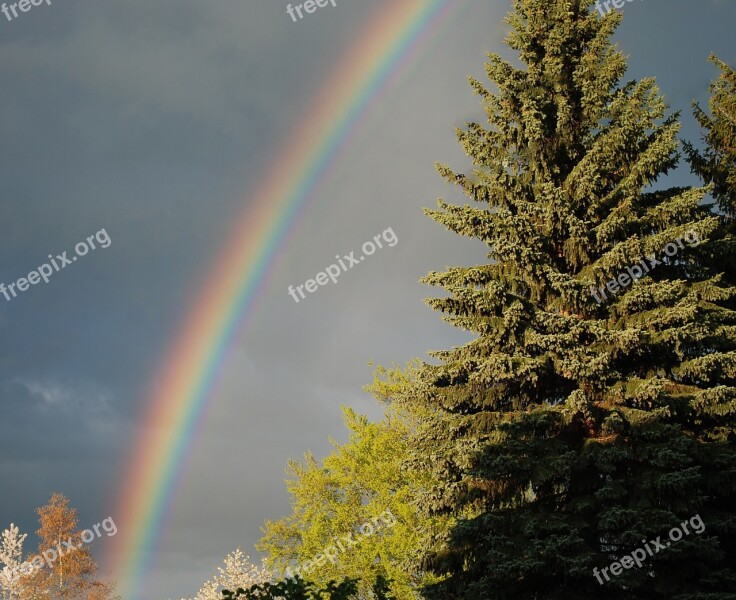 Rainbow Thunderstorm Weather Natural Phenomenon Rainbow Colors