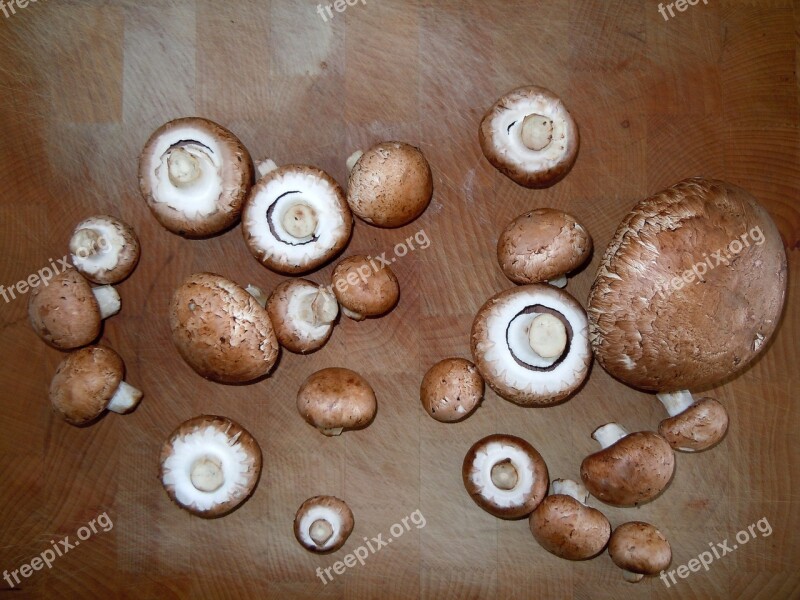 Mushrooms Wooden Board Cook Food Cut